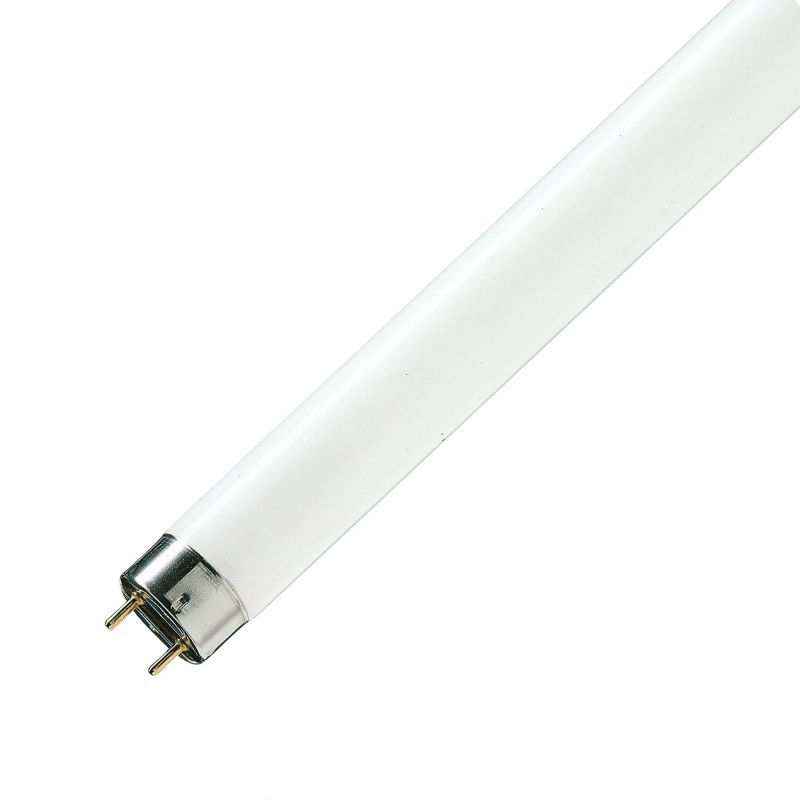 Lámpara Fluorescente Philips 36W TDL/54 Luz Fría